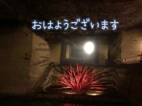 久しぶりに晴れたね☀️