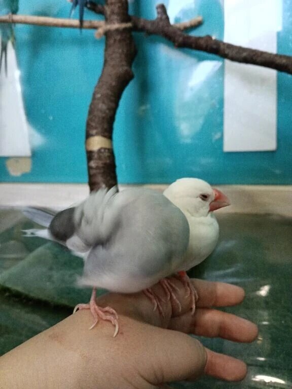 私のこと✨