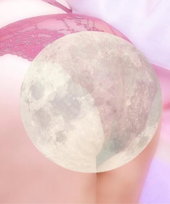 今日は中秋の名月ですね🌕