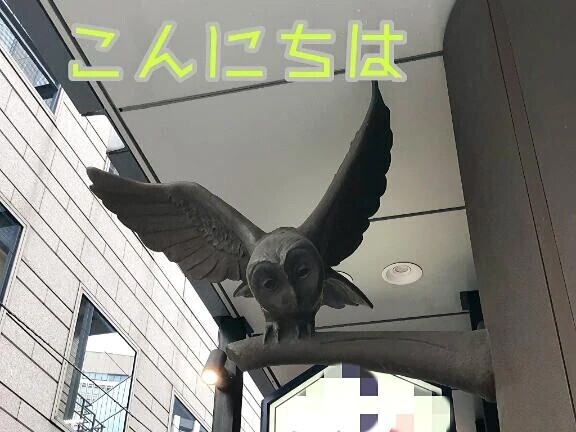 朝の雨凄かったですね💦