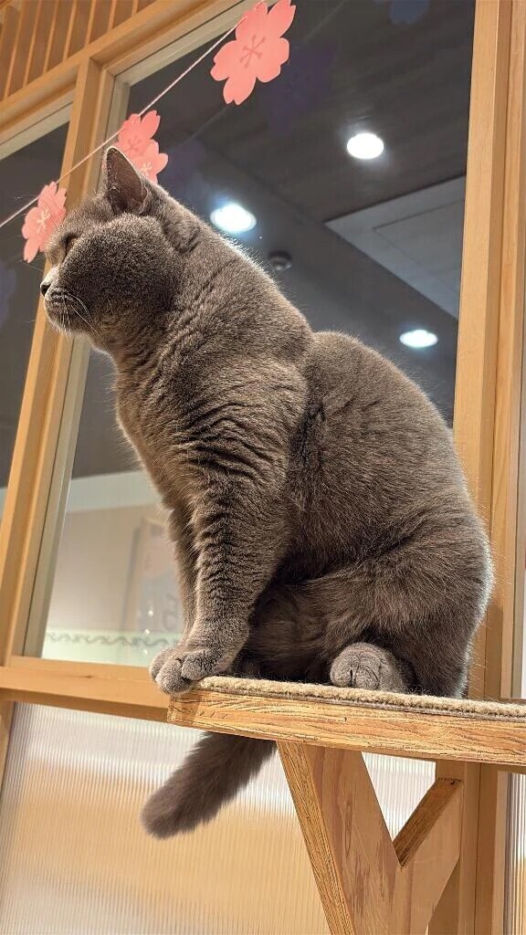 こんばんは