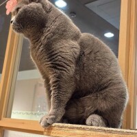 るい【業界未経験】