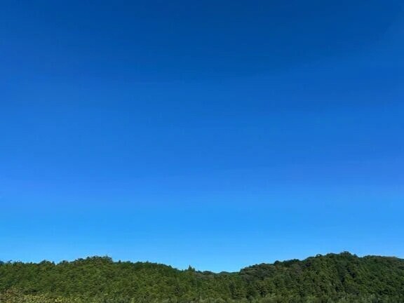 まいの休日👍🎶