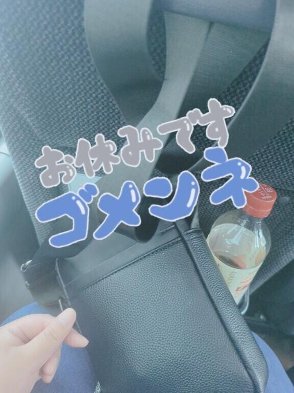 今日は…