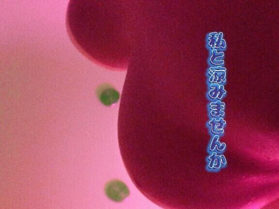 (*ˊᗜˋ*)/やぽ〜