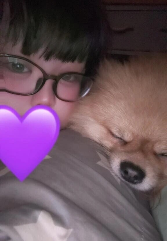 眠い(*ｐω-)｡O゜