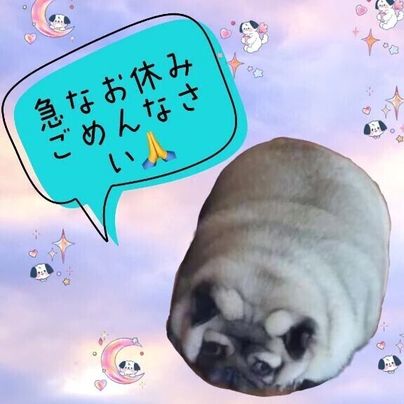 ごめんなさい🙇‍♀️