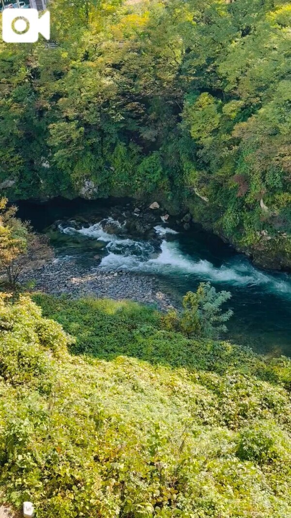 お知らせ💁‍♀️💕