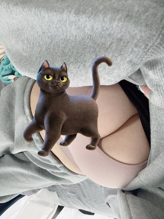 🐱ありがとう🐱