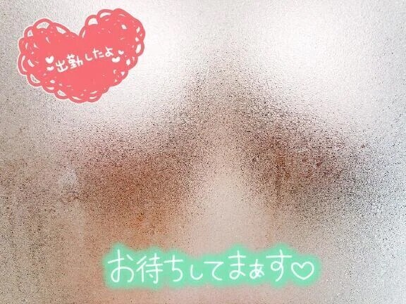 あなたに会いたいから会いにきたよ🌼