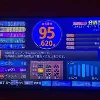 まい【業界未経験】
