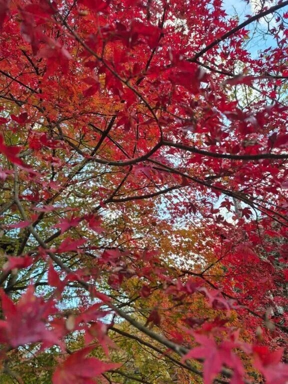 おはこんにちは❣️