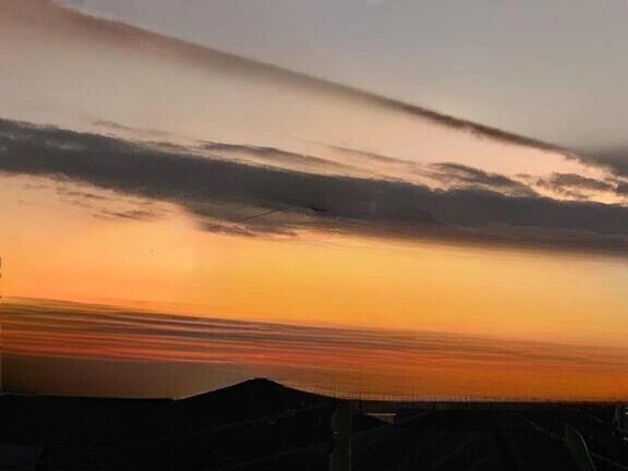 キレイだったので