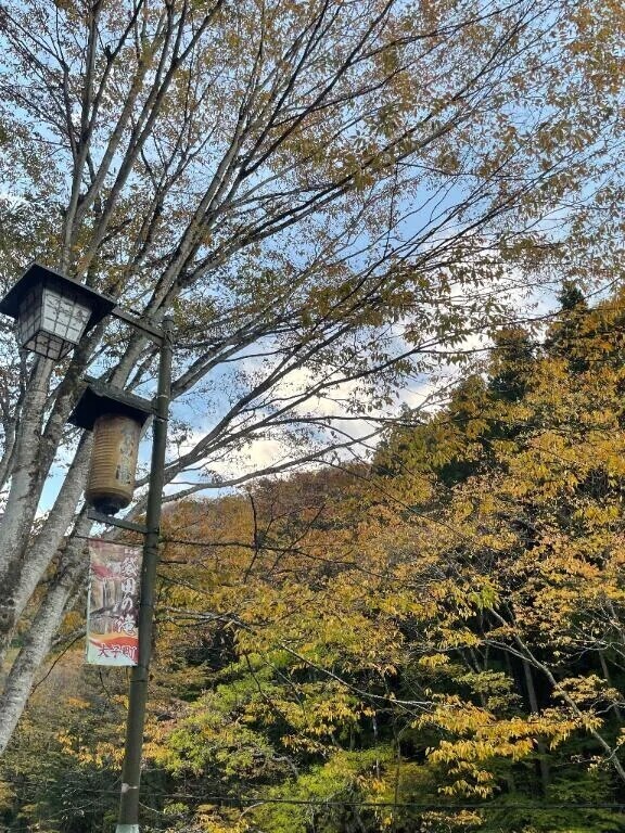 ⏰𓈒𝙶𝚘𝚘𝚍𝙼𝚘𝚛𝚗𝚒𝚗𝚐𓈒☀️