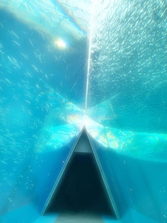 ⏰𓈒𝙶𝚘𝚘𝚍𝙼𝚘𝚛𝚗𝚒𝚗𝚐𓈒☀️