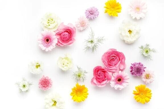 💌💖お礼日記