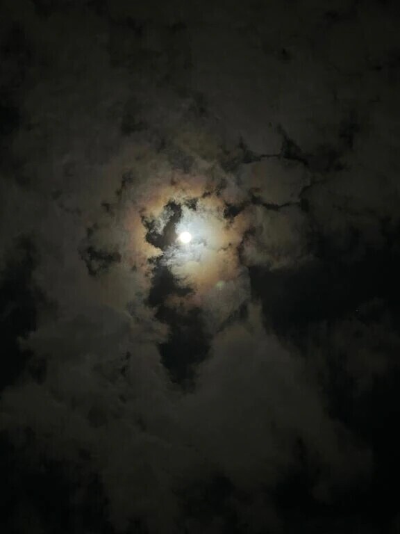 よるですね🌙* :ﾟ