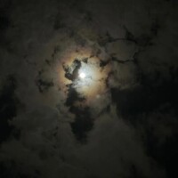 はこ【業界未経験】