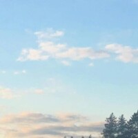 はこ【業界未経験】