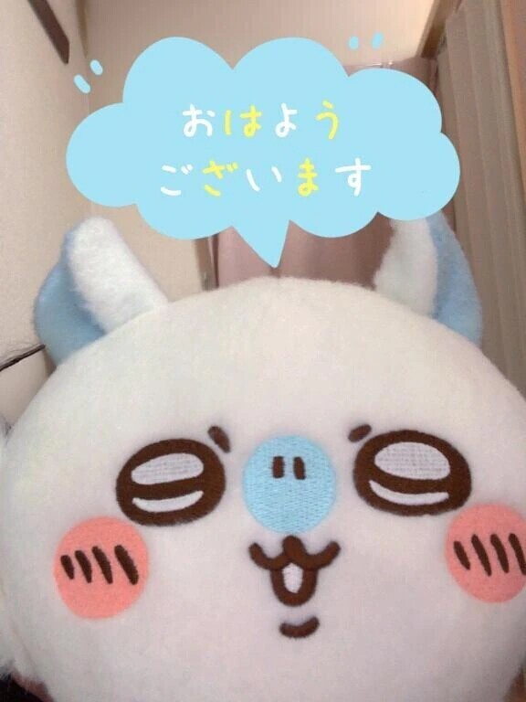 今日もよろしくお願いします！