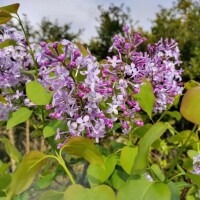 あんこ【業界未経験】