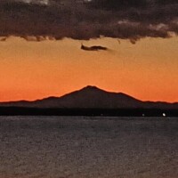 あんこ【業界未経験】