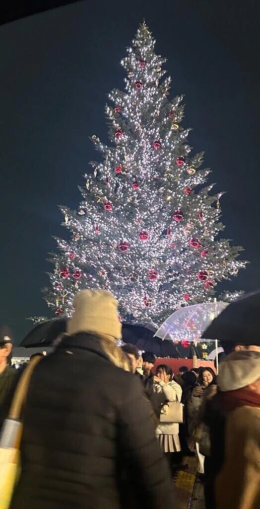 クリスマスマーケット🎅