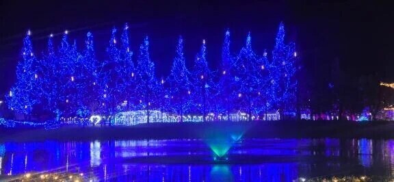 ⏰𓈒𝙶𝚘𝚘𝚍𝙼𝚘𝚛𝚗𝚒𝚗𝚐𓈒☀️