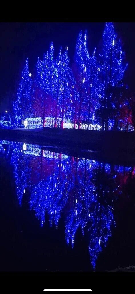 いよいよ🎄♥️