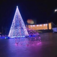 さやか【業界未経験】