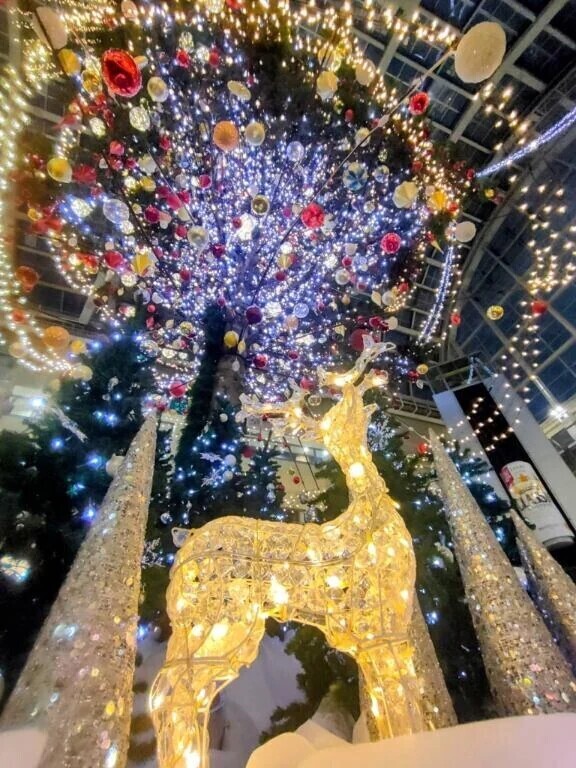 メリークリスマス🌲