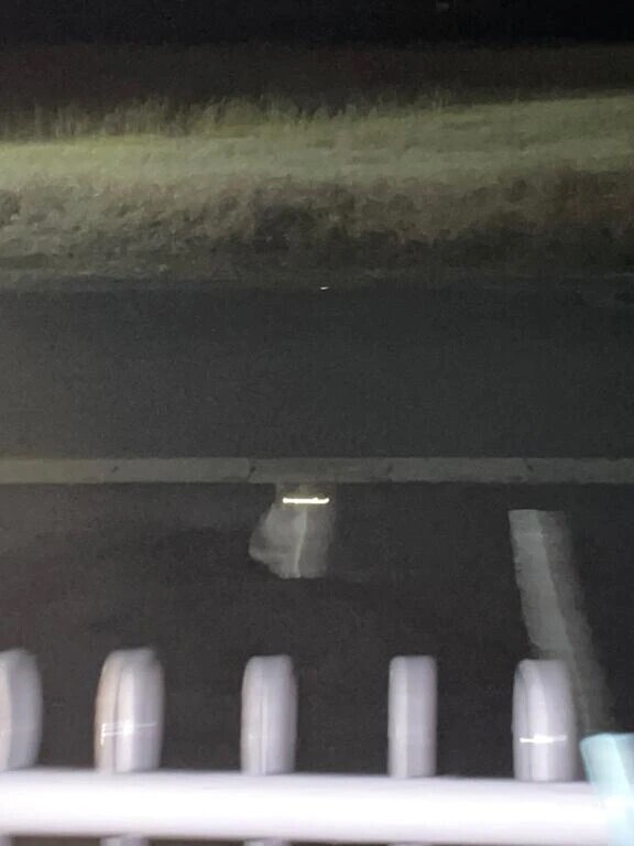 昨日はありがとうございました😌