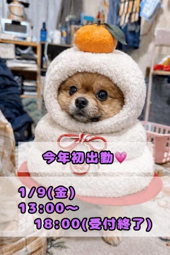 新年あこ初め🎍💜