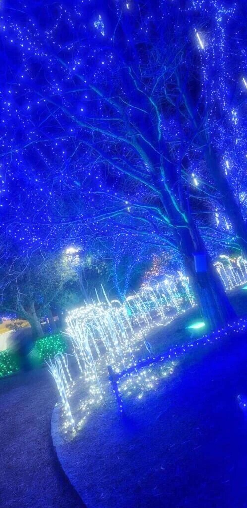 今日もありがとん