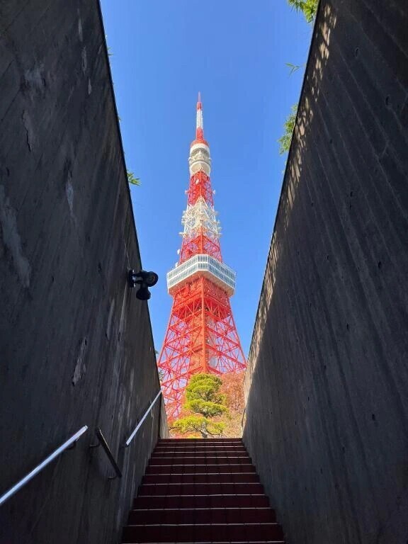 おはよ〜う🥱☀️