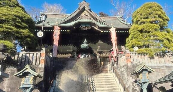 こんにちは ꕤ.·*.