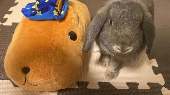 退勤しました❤︎