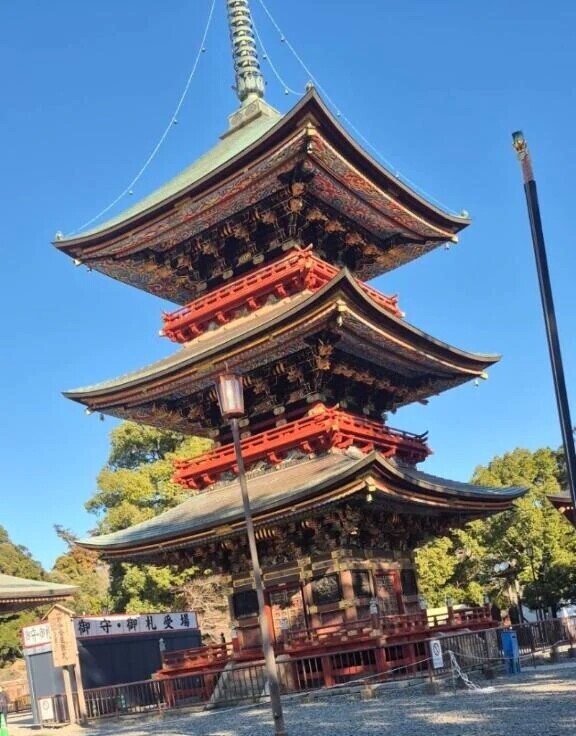 ( *´꒳`*)ﾉｺﾝﾁｬ~