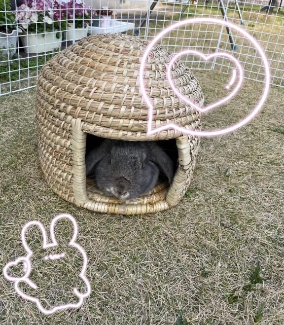 ごめんなさい🙏💦