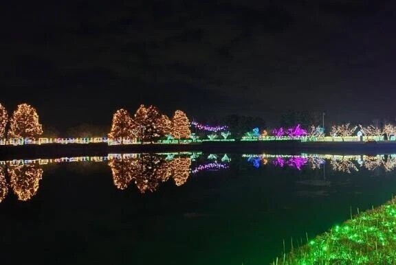 ( *ˊᗜˋ)ﾉꕤ*.ﾟおはよ‪🌱‬☀️