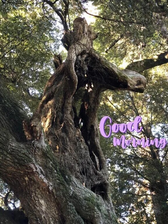 今日もよろしくお願いいたします🙇‍♀️