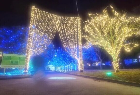 (*つω`*)｡oO(おはよ)