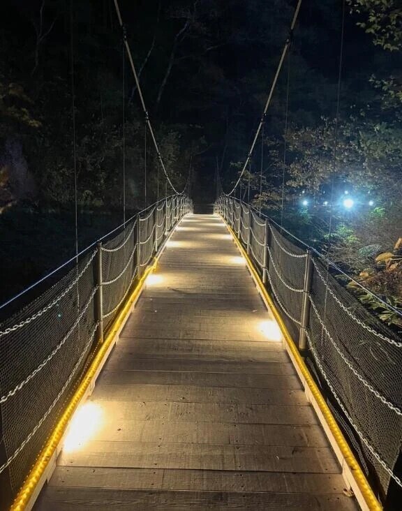 おはようございます٩(*´꒳`*)۶