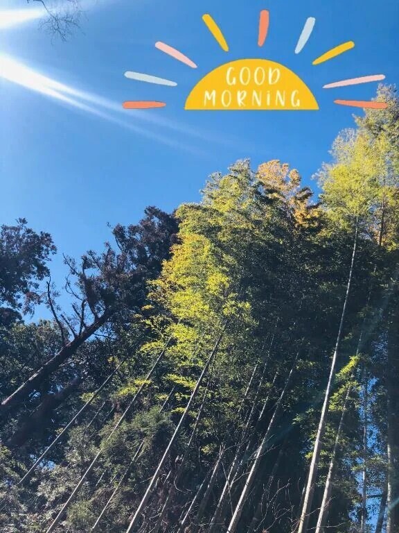 遅くなりました🙇‍♀️