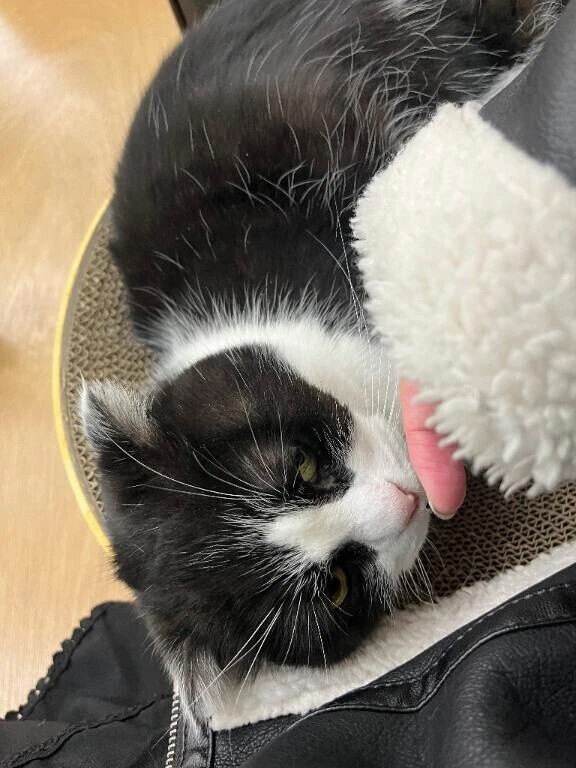 ホテルサラサ H様 お礼日記💌