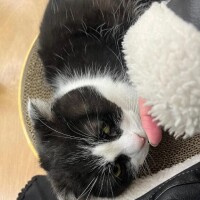 えふ【業界未経験】