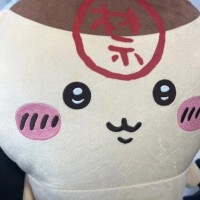 えふ【業界未経験】