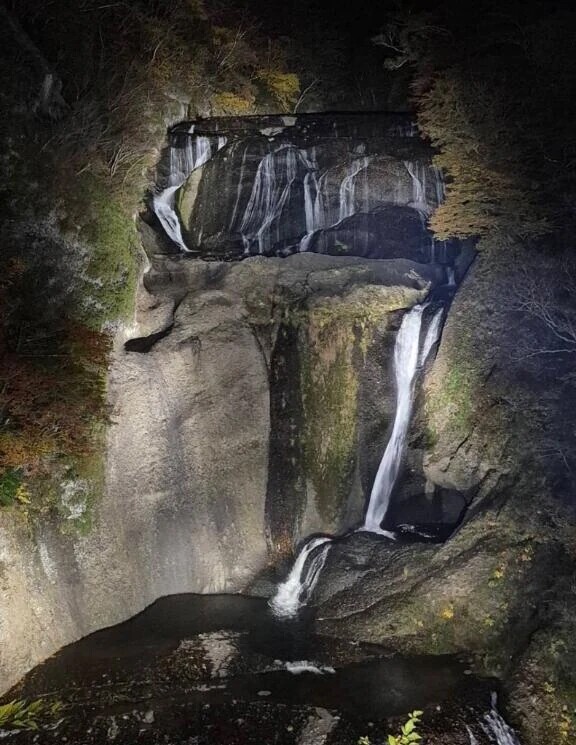 ありがとう❣️