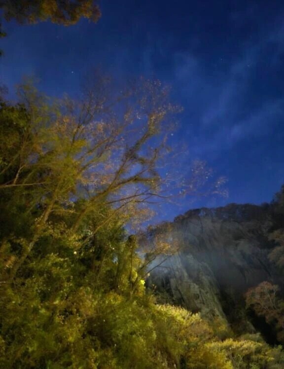 ありがとう❣️