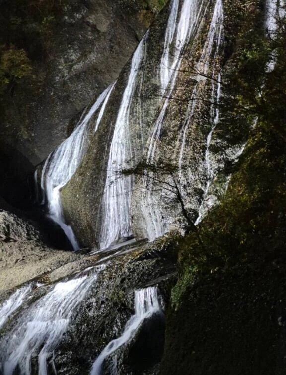 ありがとう❣️